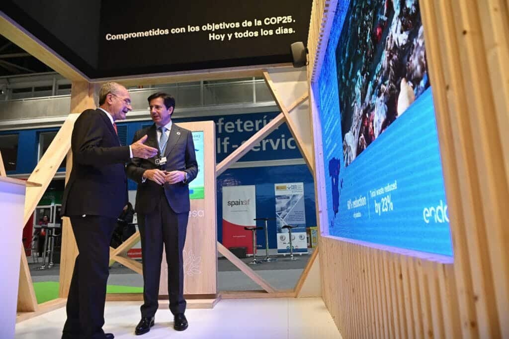 Jóse Casas, directivo de Endesa, en la COP25